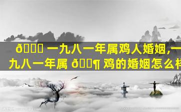 🍁 一九八一年属鸡人婚姻,一九八一年属 🐶 鸡的婚姻怎么样